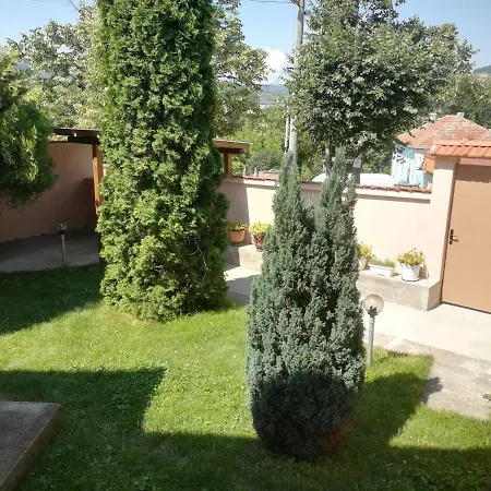 мира *